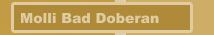 Molli Bad Doberan