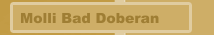 Molli Bad Doberan